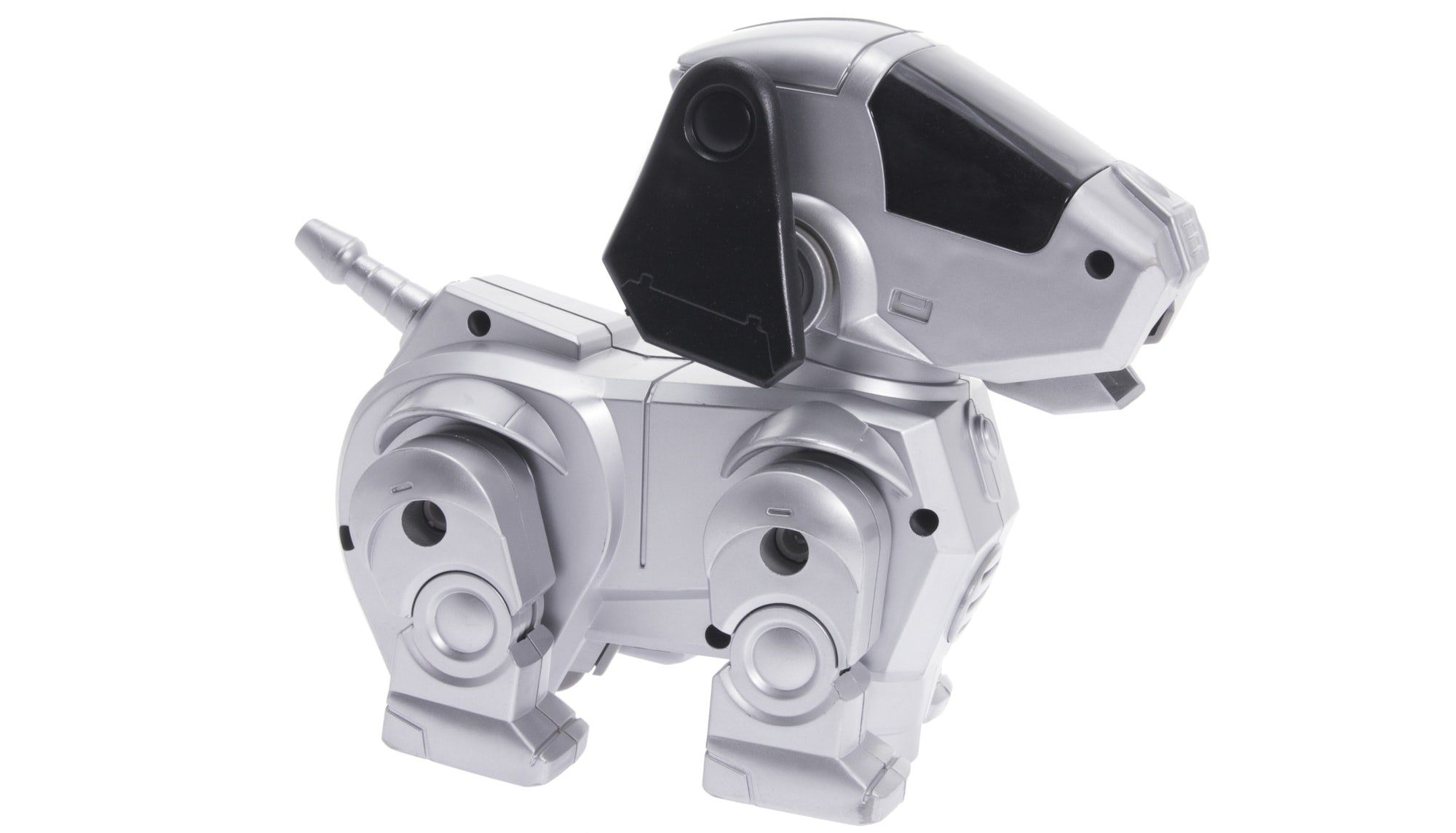Toy Robot Dog