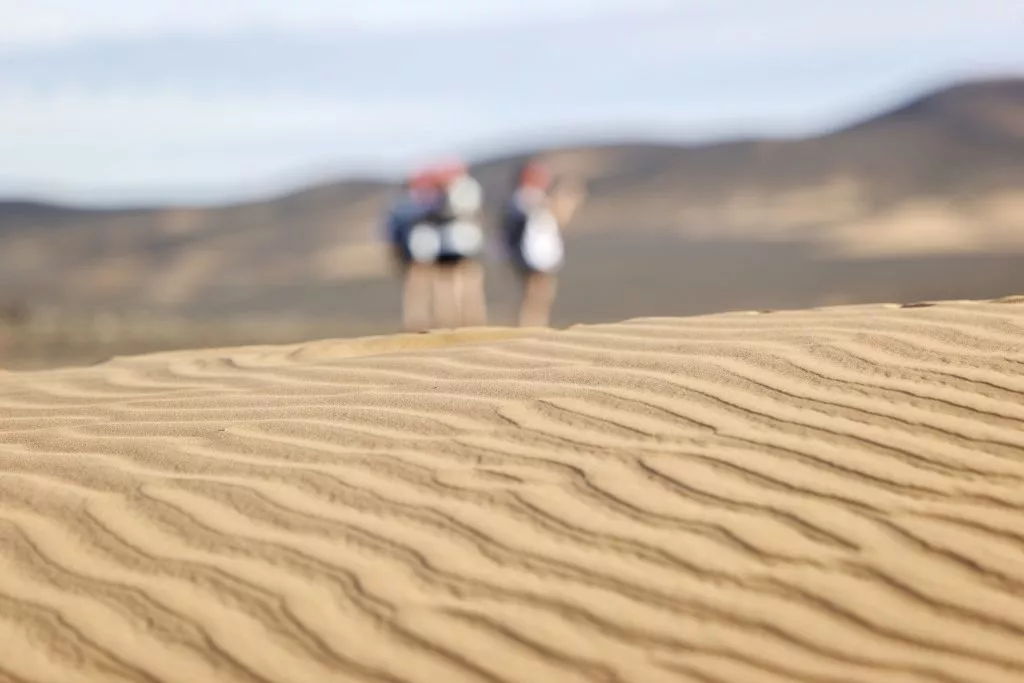 dune-desert-trek-rose-trip